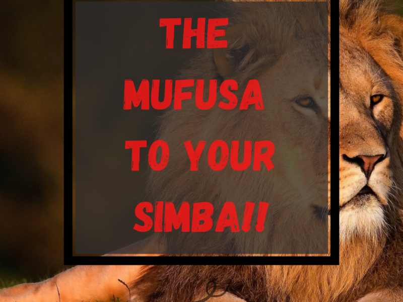 THE MUFASA TO YOUR SIMBA!